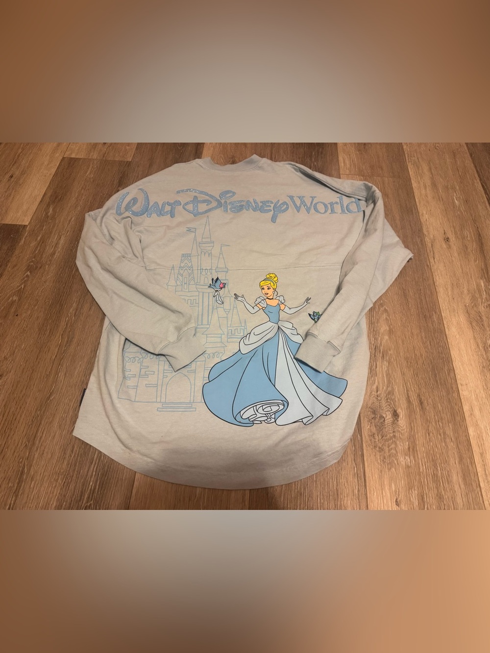 Disney Parks Princess Cinderella Spirit Jersey Size Small NWT